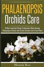 Phalaenopsis Orchids Care: 30 Most Important Things To Remember When Growing Phalaenopsis Orchids