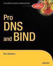 Pro DNS & BIND