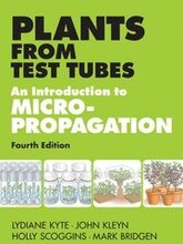 Plants from Test Tubes
