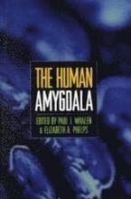 The Human Amygdala