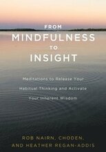 From Mindfulness to Insight