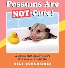 Possums Are Not Cute