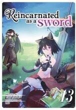 Reincarnated as a Sword (Light Novel) Vol. 13