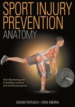 Sport Injury Prevention Anatomy