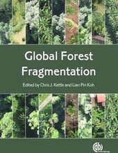Global Forest Fragmentation