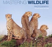 Mastering Wildlife Photography