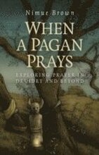 When a Pagan Prays Exploring prayer in Druidry and beyond