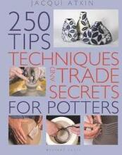 250 Tips, Techniques and Trade Secrets for Potters