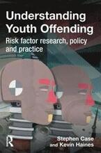Understanding Youth Offending