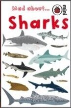 Mad About Sharks