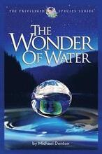 The Wonder of Water: Water's Profound Fitness for Life on Earth and Mankind