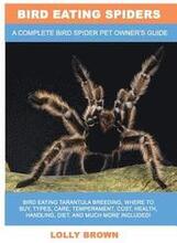 Bird Eating Spiders: Bird Eating Tarantula breeding, where to buy, types, care, temperament, cost, health, handling, diet, and much more in