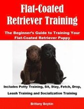 Flat-Coated Retriever Training: The Beginner's Guide to Training Your Flat-Coated Retriever Puppy
