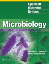 Lippincott Illustrated Reviews: Microbiology