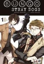 Bungo Stray Dogs, Vol. 1 (light novel)