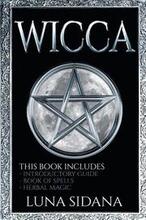 Wicca: 3 Manuscripts - Introductory Guide, Book Of Spells, Herbal Magic