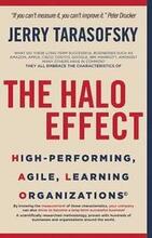The HALO Effect: High-performing, Agile, Learning Organizations