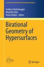 Birational Geometry of Hypersurfaces