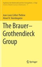 The BrauerGrothendieck Group