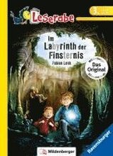 Im Labyrinth der Finsternis - Leserabe 3. Klasse - Erstlesebuch für Kinder ab 8 Jahren