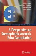 A Perspective on Stereophonic Acoustic Echo Cancellation