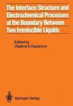 The Interface Structure and Electrochemical Processes at the Boundary Between Two Immiscible Liquids