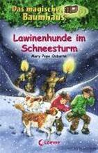 Lawinenhunde im Schnee