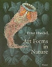 Art Forms in Nature: The Prints of Ernst Haeckel