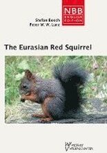 The Eurasian Red Squirrel
