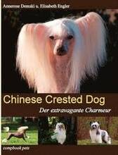 Chinese Crested Dog