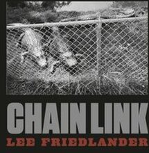 Lee Friedlander: Chain Link