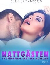 Nattgästen - 10 spännande erotiska noveller