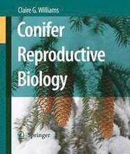 Conifer Reproductive Biology