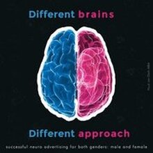 Different Brains, Different Approaches