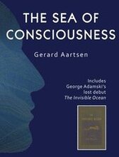 The Sea of Consciousness