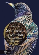 Skönhetens evolution : hur Darwins bortglömda teori om det sexuella urvalet formar djurriket - och oss