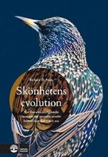 Skönhetens evolution