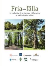Fria eller fälla : en vägledning för avvägningar vid hantering av träd i offentliga miljöer