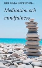 Det lilla häftet om meditation och mindfulness : Det lilla häftet om medita