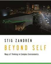 Beyond Self : Ways of Thinking in Complex Environments