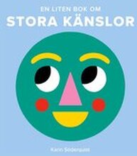 En liten bok om stora känslor