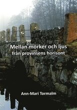 Mellan mörker och ljus : från provinsens horisont