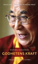 Godhetens kraft : Dalai lamas vision för en bättre värld