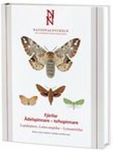 Nationalnyckeln : Fjärilar - Ädelspinnare - tofsspinnare Lepidoptera Lasiocampi Lymantriidae