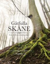 Gåtfulla Skåne : En guide till mytomspunna platser