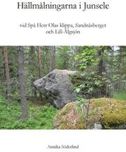 Hällmålningarna vid Spå Herr Olas klippa, Sandnäsberget och Lill-Älgsjön i Junsele, Ångermanland