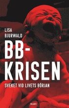 BB-krisen