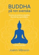 Buddha på ren svenska : konsten att praktisera Buddhas lära utan att vara Buddhist