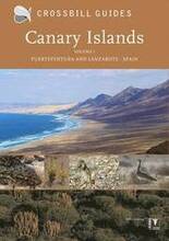 Canary Islands: Vol. 1