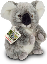 Teddy HERMANN ® Koala bjørn 21 cm